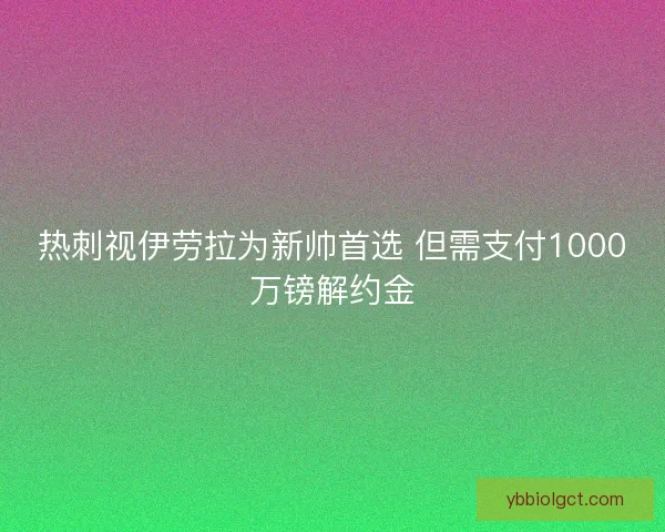 热刺视伊劳拉为新帅首选 但需支付1000万镑解约金