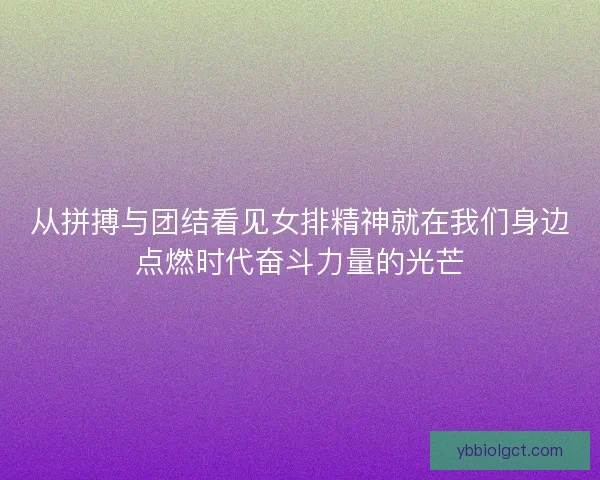 从拼搏与团结看见女排精神就在我们身边点燃时代奋斗力量的光芒